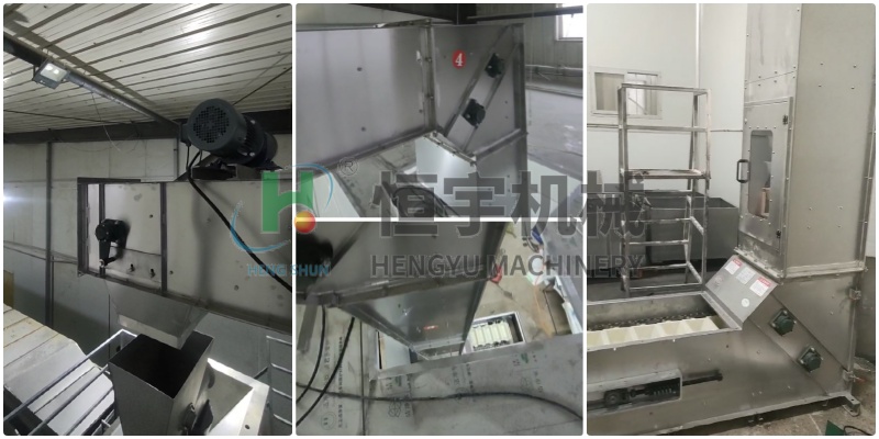 不銹鋼z型斗式提升機(jī)大豆客戶現(xiàn)場(chǎng)